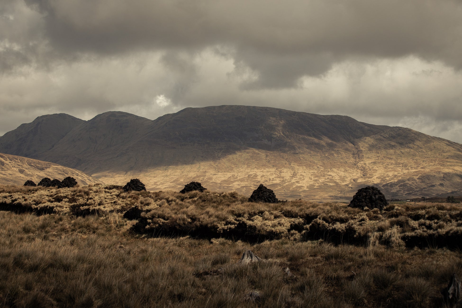 Best selling waterproof, wax, and tweed jackets for men and women