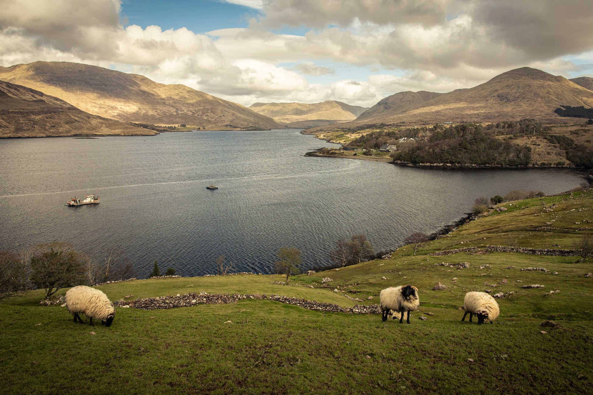 Women's Donegal Tweed Jackets & Coats